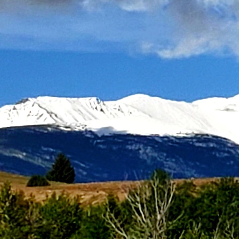 Meet your Posher, Molly